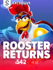 Crash Games Strategies 542bet